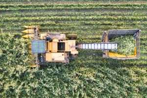 AFP: Ucraina respinge o aderare la UE cu restricţii permanente pentru exporturile agricole